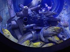 -成都浩海立方海洋公园