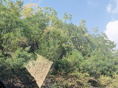 -圣莲山风景区