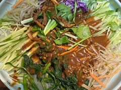 大拉皮-黑土印象菜馆(三元桥店)