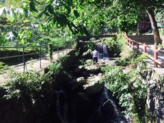 -藏龙百瀑风景区