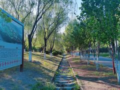 -永定河休闲森林公园