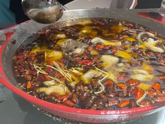 -雲蜀龙阁·金牌水煮鱼(方庄店)