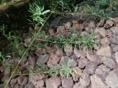 -北京益泉花园酒店