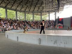 -石家庄市动物园