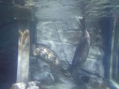 -临沂极地海洋王国