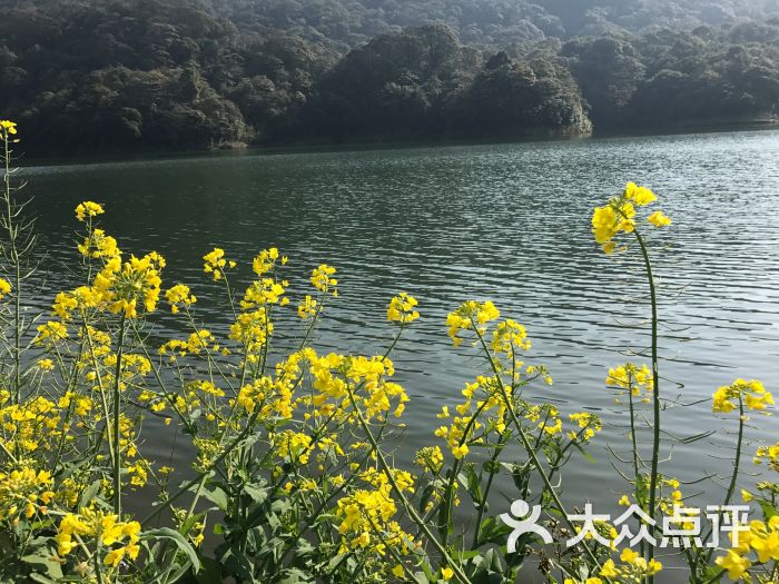 石灶风景区图片 - 第33张