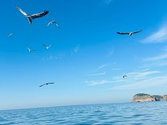 -海驴岛(荣成市)