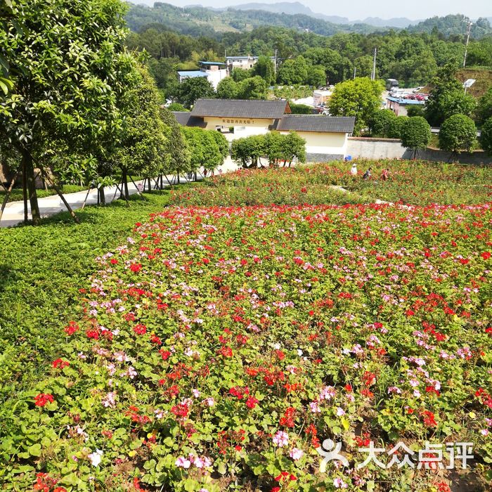 南湖多彩植物園