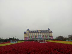 -百万葵园