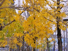 -百林公园-两江幸福广场