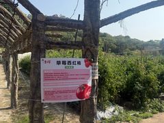 -丹樱生态园