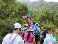 -上海和平眼科医院