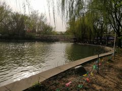 -廊坊市自然公园