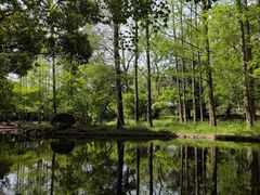 -上海共青森林公园