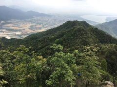-羚羊峡古栈道森林公园