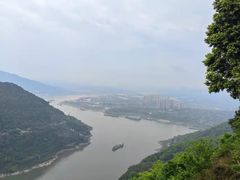 -铁山坪森林公园