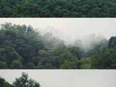 -野象谷景区