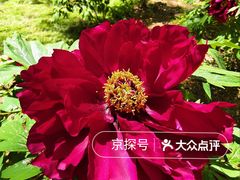 -仁和公园(顺义区)