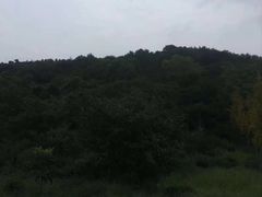 -缥缈峰景区