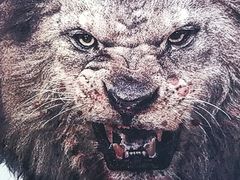 -天幕新彩云国际影城(激光巨幕店)