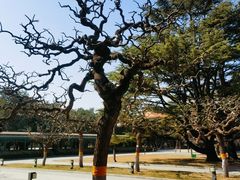-北京市劳动人民文化宫(太庙)