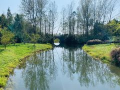 -溱湖国家湿地公园