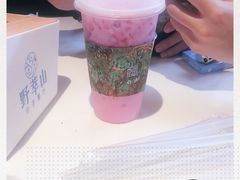 -野萃山·潮汕厚果汁(十亩地店)