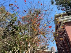 -中山大学（南校区）-英东游泳场