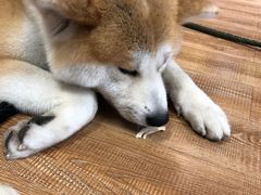 -YCHL Studios健身工作室(市二宫店)