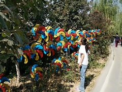 -西安汉城湖景区