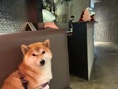 -黑崎烧肉·山野厨房(坪山店)