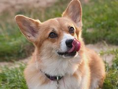 -贵阳市花溪国家城市湿地公园