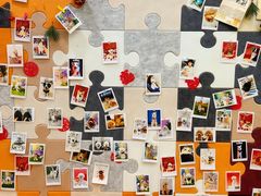 -翊宠yipet猫狗购宠庄园犬舍•猫舍