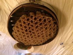 金桥乔家八大碗-乔家满族八大碗(流水沟店)