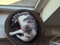 -青春加萌照相馆