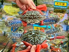 -明记海鲜大排档(巽寮湾店)