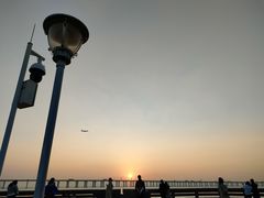 -宝安西湾红树林湿地公园