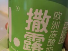 食全十美-Salud撒露欧洲冻酸奶(五道口购物中心店)