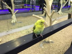 -未来动物城主题公园(正弘城店)