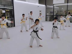 -极真空手道修远道场