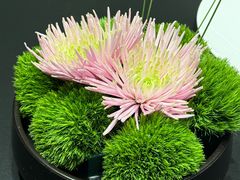 -宫燕府·京菜·烤鸭·淮扬菜(王府中心店)