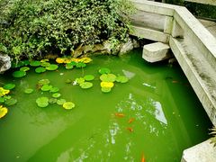 -苏州文旅花间堂·探花府酒店