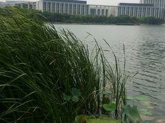 -尚贤河湿地