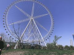 -祥源·阜阳生态乐园