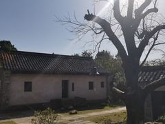 -南京市无想山景区