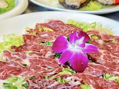 -陶缘一号·四季缘·老字号顺德菜·户外婚礼家宴(西滘店)