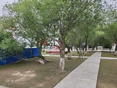 -珍宝岛