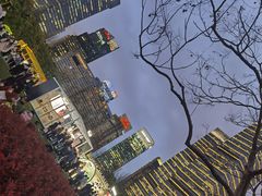 -陆家嘴中心绿地
