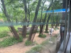 -秦皇岛野生动物园