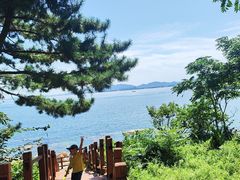 -养马岛旅游度假区